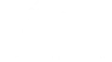 Nuova collezione